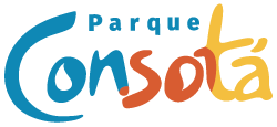 logo-consota1